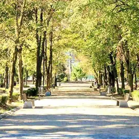 Cozy Parkside Entire * Cluj-Napoca